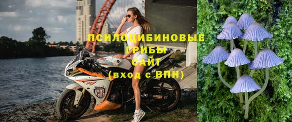 стафф Волгодонск