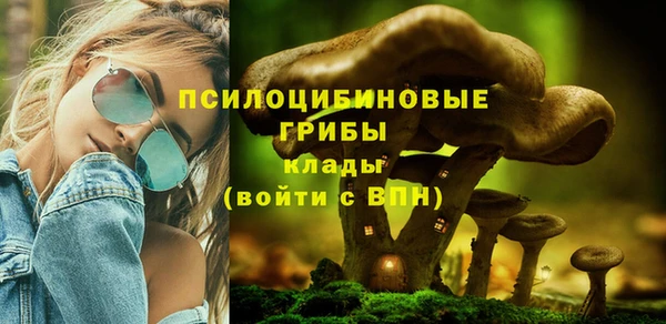 синтетический гашиш Надым