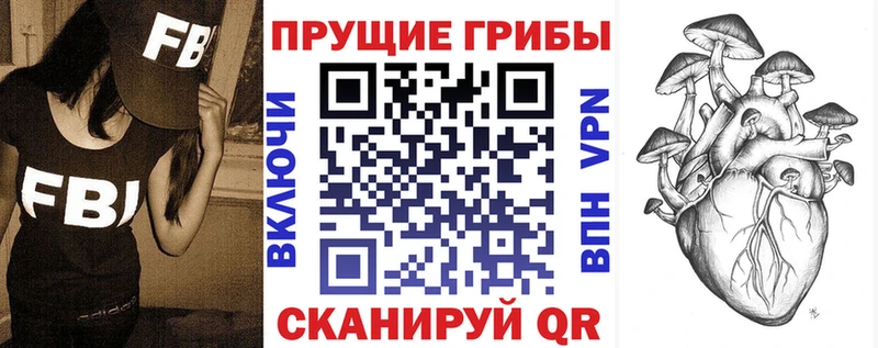 сколько стоит  Ачинск  Галлюциногенные грибы GOLDEN TEACHER 